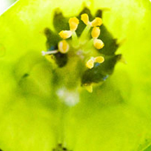 超强动力持续的DDOS攻击教程